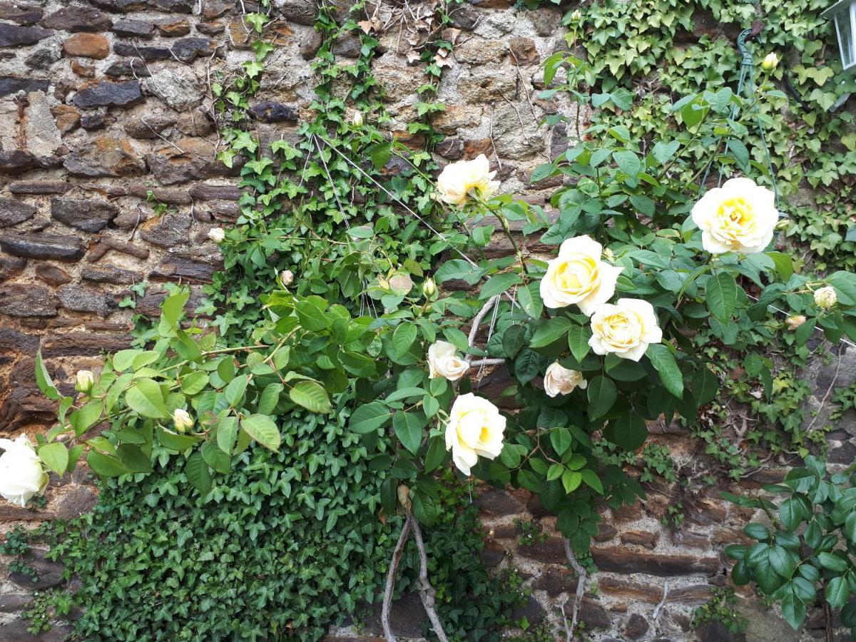 La Maison D'Hotes De Constance Le Mans Exterior foto